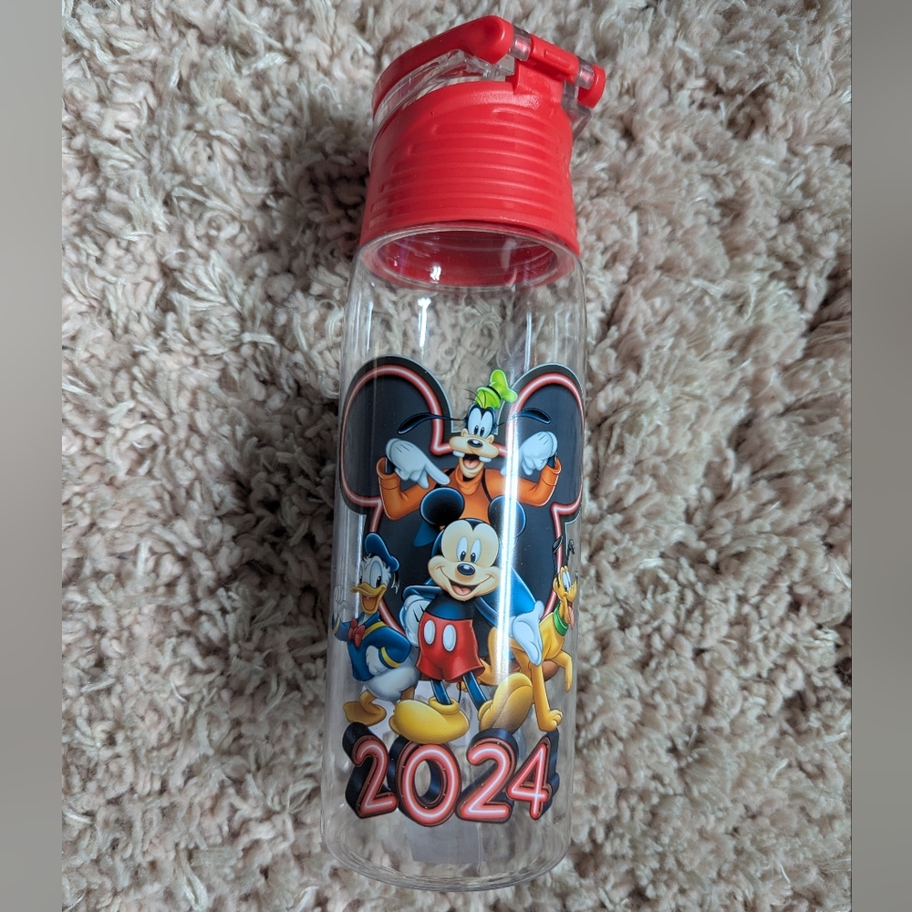Brand New 2024 Disney Reusable Bottle